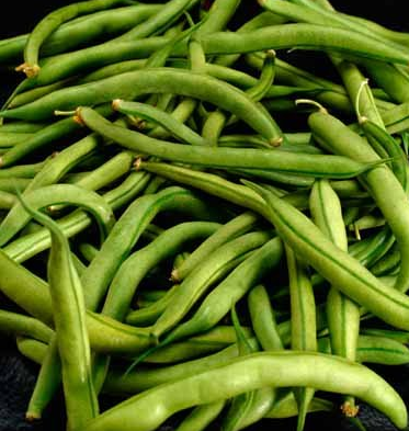 Are Green And Yellow Beans Paleo Diet
